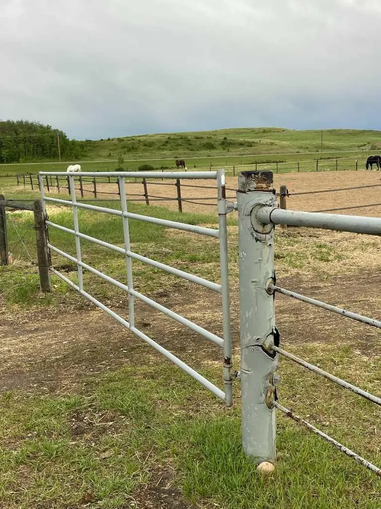Highway 816 Rural Red Deer County AB T4E 0V5