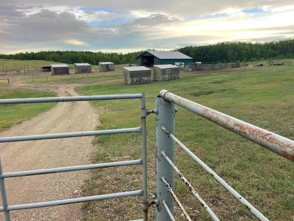 Highway 816 Rural Red Deer County AB T4E 0V5
