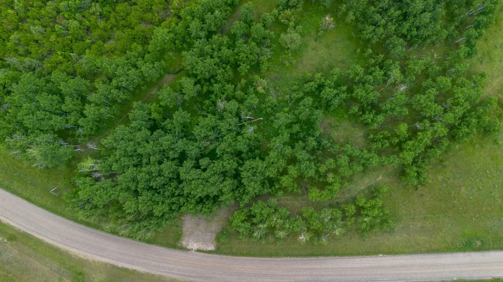 272015A Twp Road 12 Rural Cardston County AB T0K 0K0