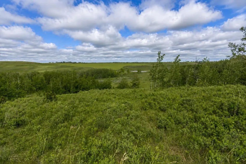 30480 Range Road 12 Rural Mountain View County AB T0M0N0