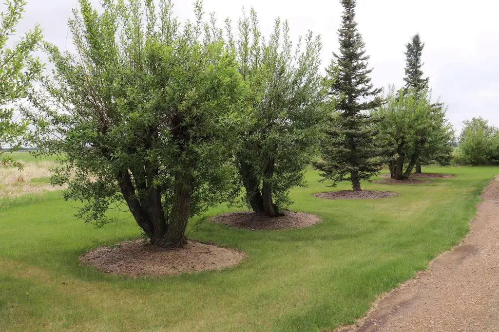 Range Road 251 Rural Ponoka County AB T4J 1R1