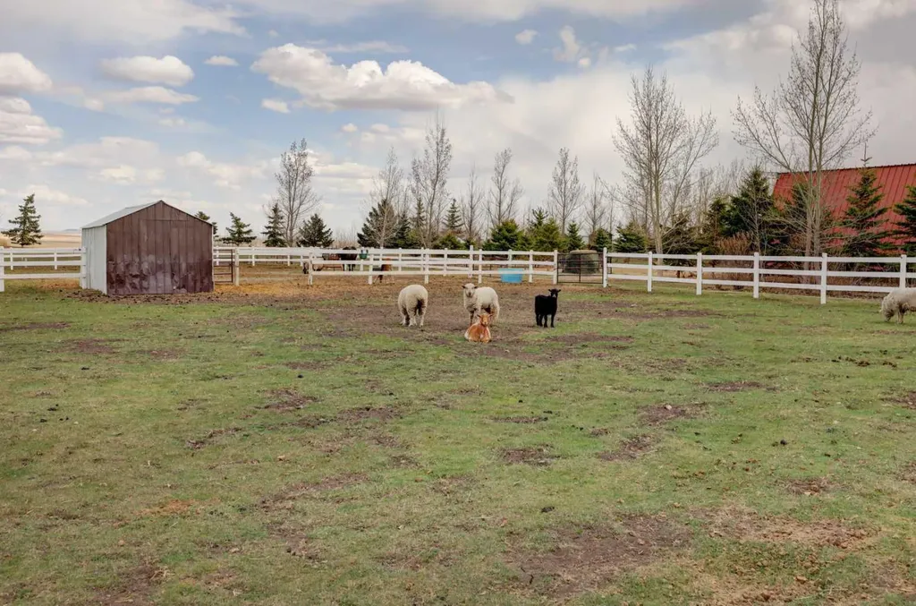 200075 Twp Road 302 Rural Starland County AB T0J 0Y0