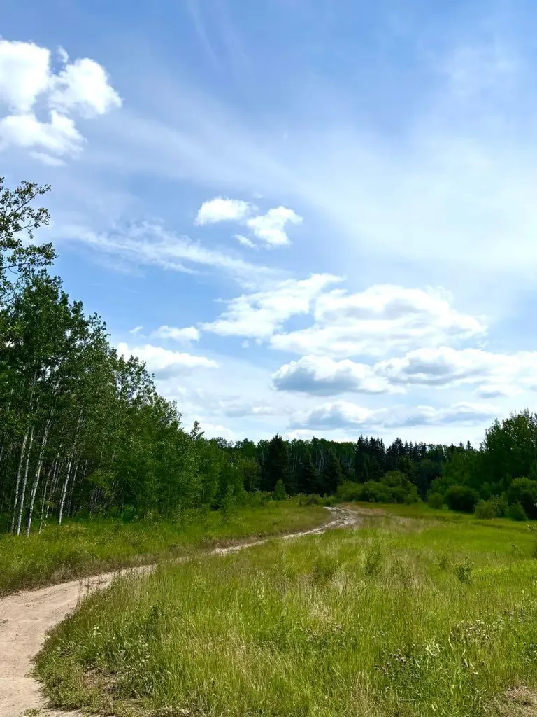 65275 114a Rang Rural Lac La Biche County AB T0A 2C0
