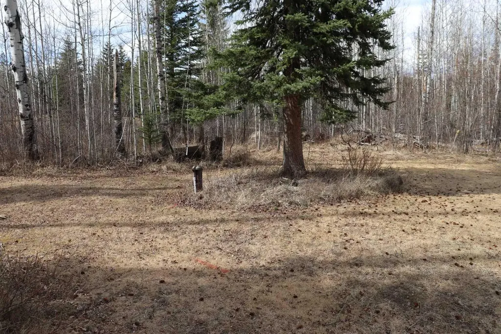 53105 Range Road 195 Rural Yellowhead County AB T7E 3A2