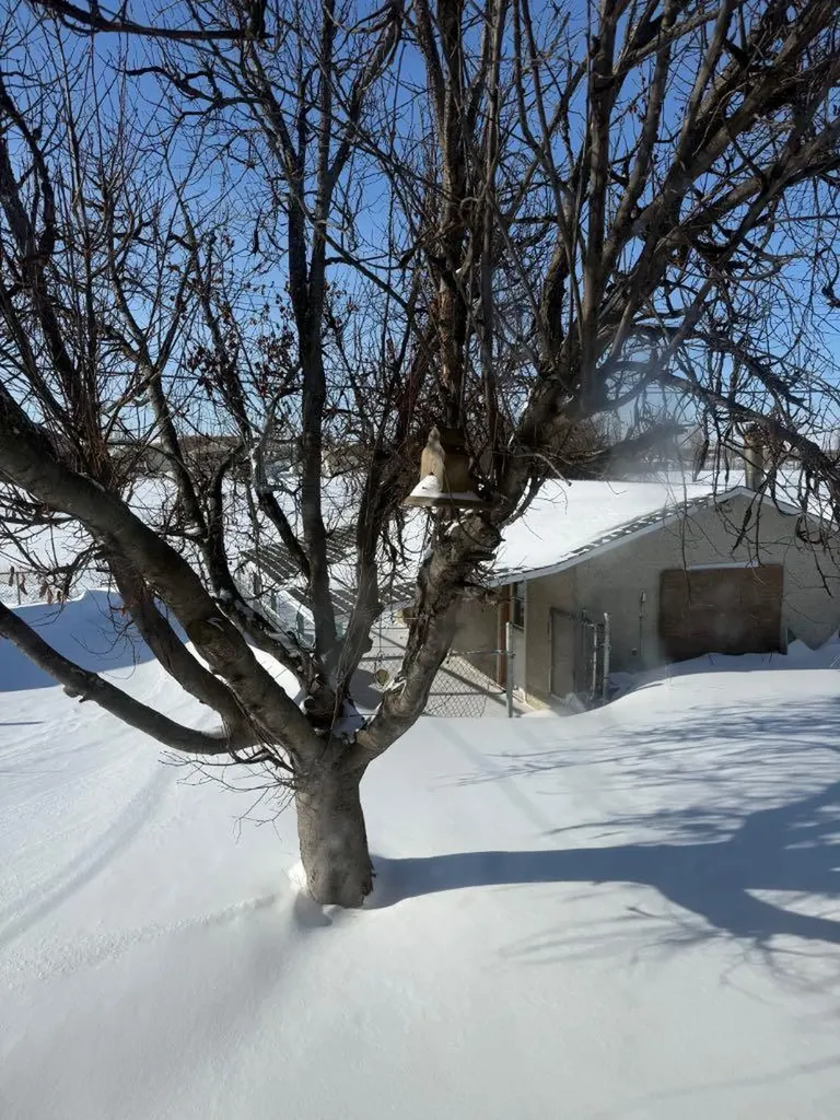 10140 105 Street Lac La Biche AB T0A 2C0