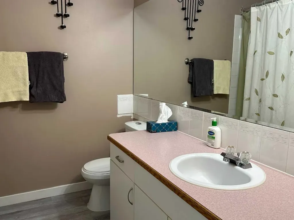 4804 Landsdown Avenue Blackfalds AB T0M 0J0
