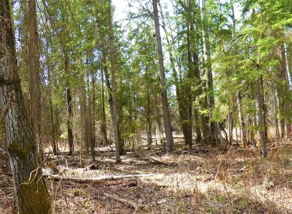 13519 Twp 662 Lac La Biche AB T0A 2C0
