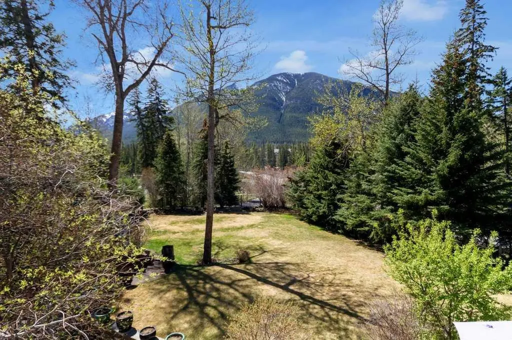 501 Buffalo Street Banff AB T1L 1A1