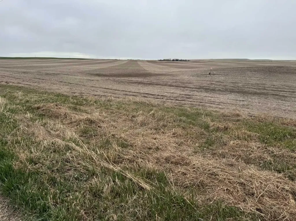 Township Road 194 Rural Vulcan County AB T0L 0J0