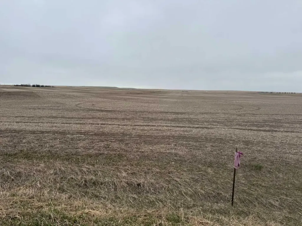 Township Road 194 Rural Vulcan County AB T0L 0J0