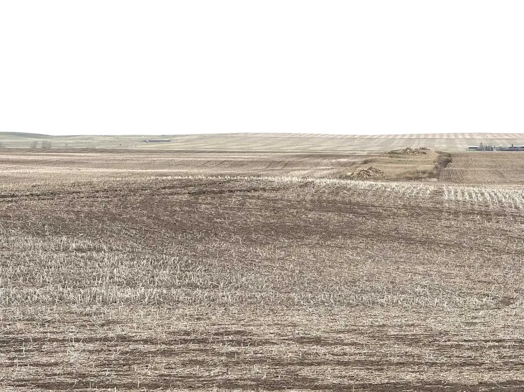 Township Road 194 Rural Vulcan County AB T0L 0J0