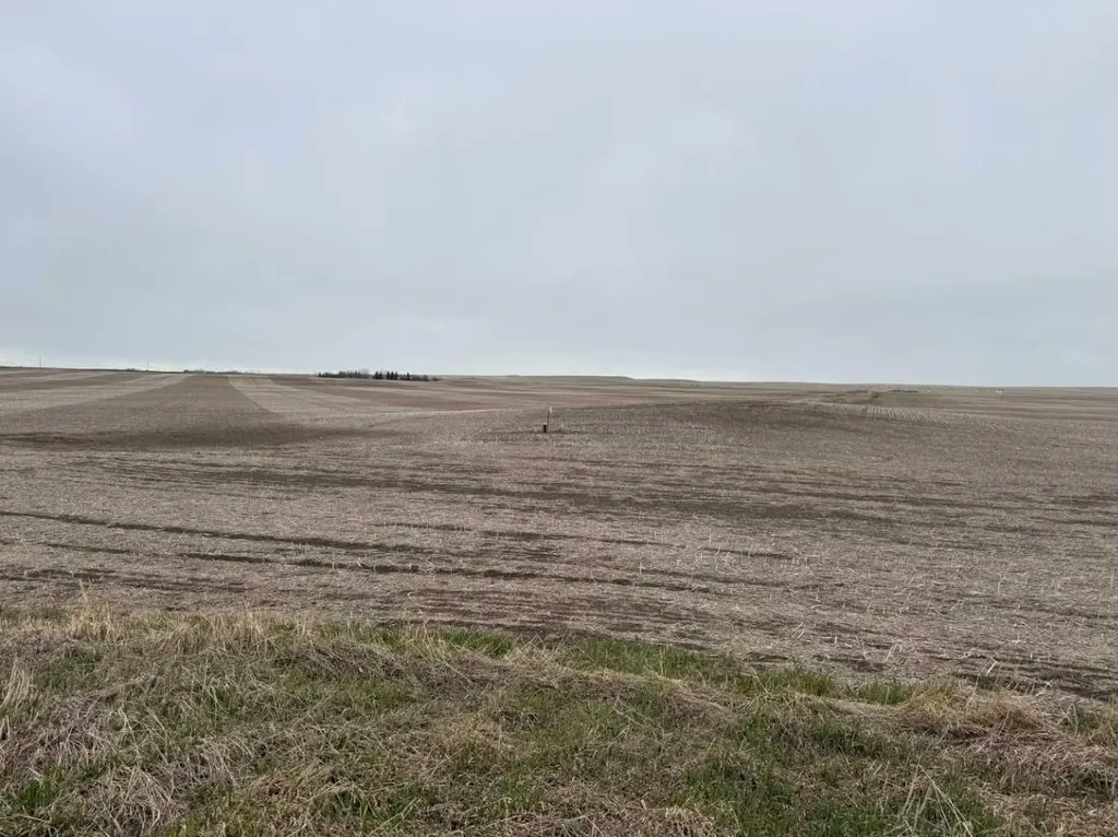 Township Road 194 Rural Vulcan County AB T0L 0J0