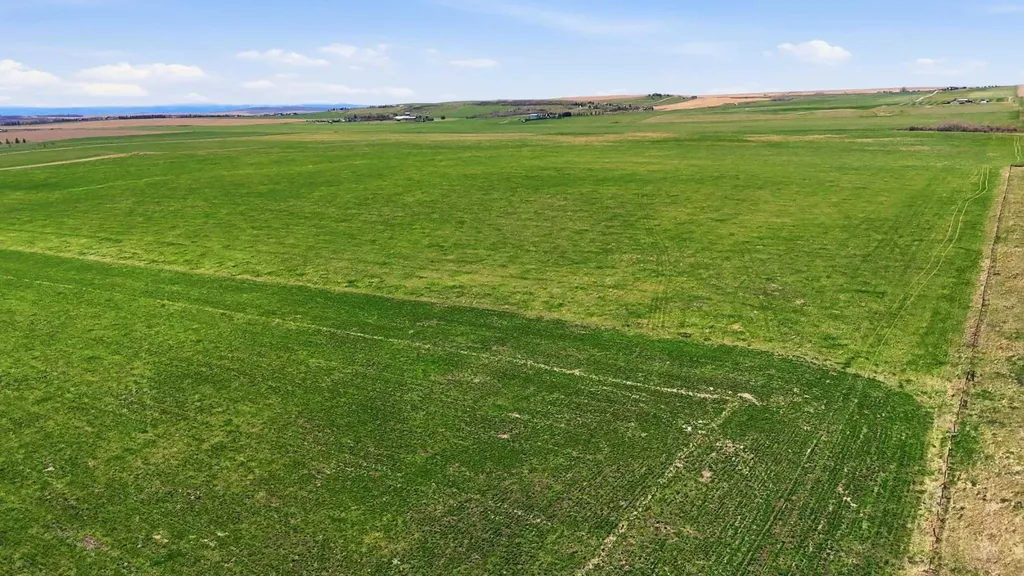 SE - 12- 20 - 1 W5 160 Acres Rural Foothills County AB T1S 6C5