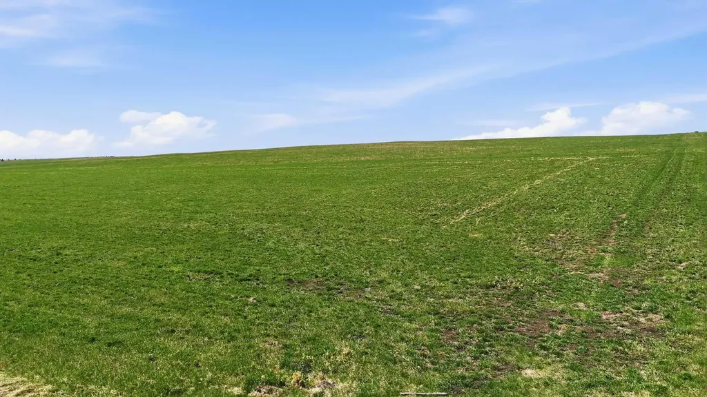 SE - 12- 20 - 1 W5 160 Acres Rural Foothills County AB T1S 6C5