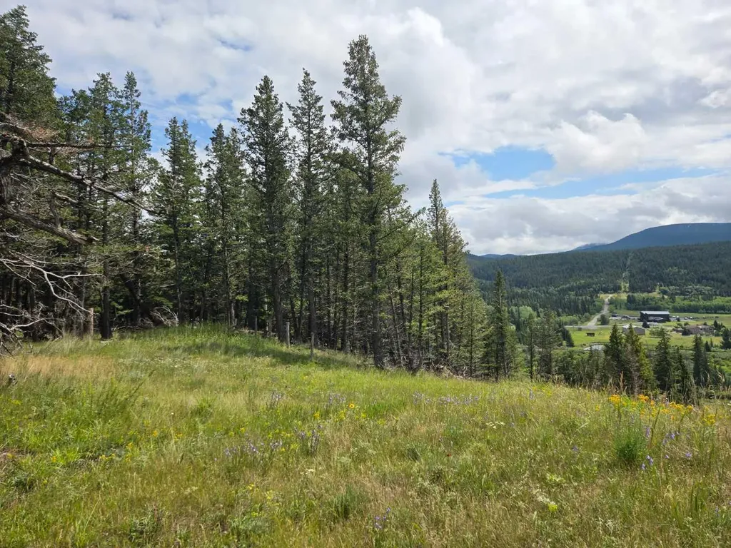 5302 19th Avenue Coleman AB T0K0M0