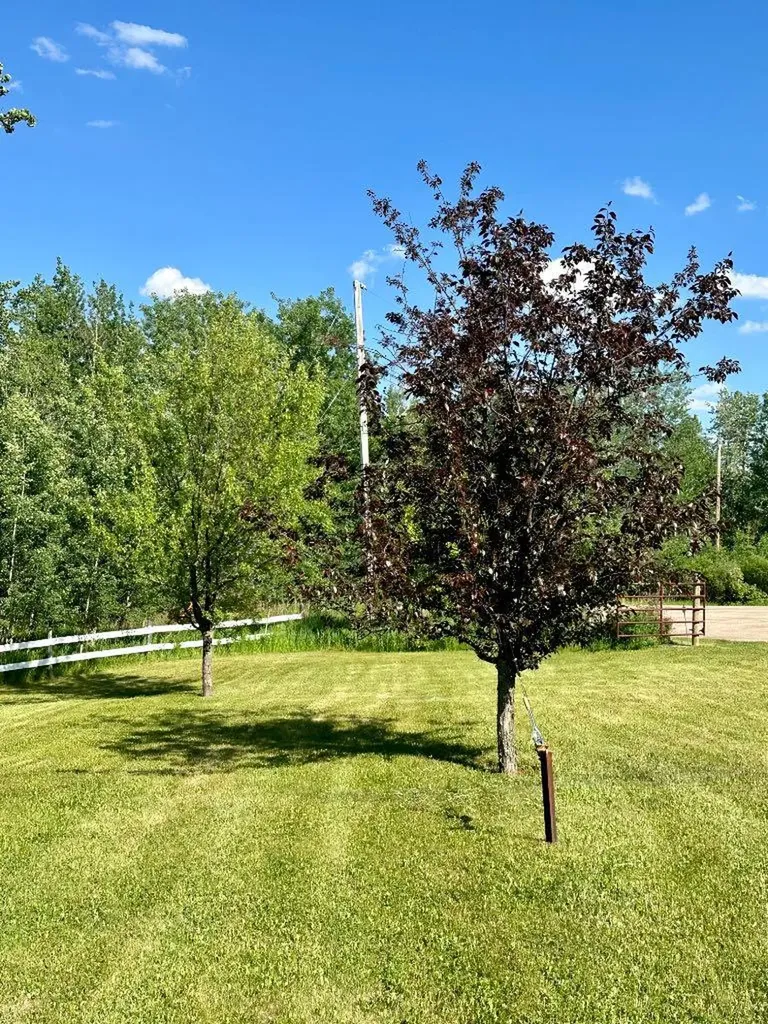 386 11355 Twp 640 Road Rural Lac La Biche County AB T0A 2C1