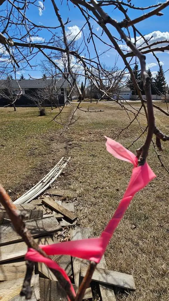 4946 Parkview Crescent Castor AB T0C 0X0