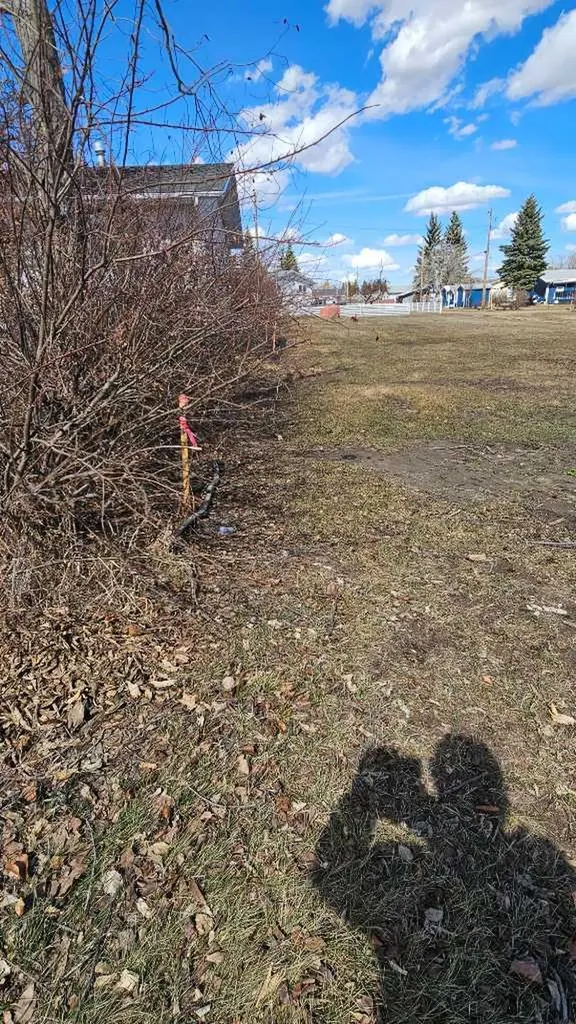 4946 Parkview Crescent Castor AB T0C 0X0