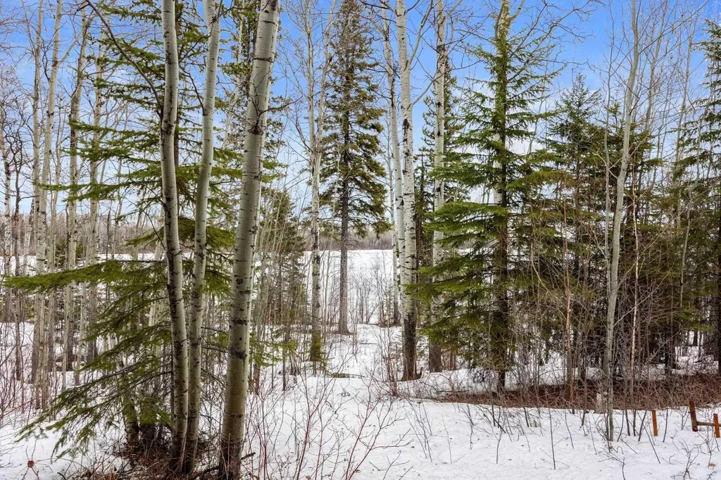 16 Gregoire Avenue Gregoire Lake Estates AB T0P 1J0