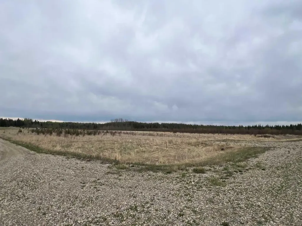 17429 Township Road 540 Edson AB T7E 3L7