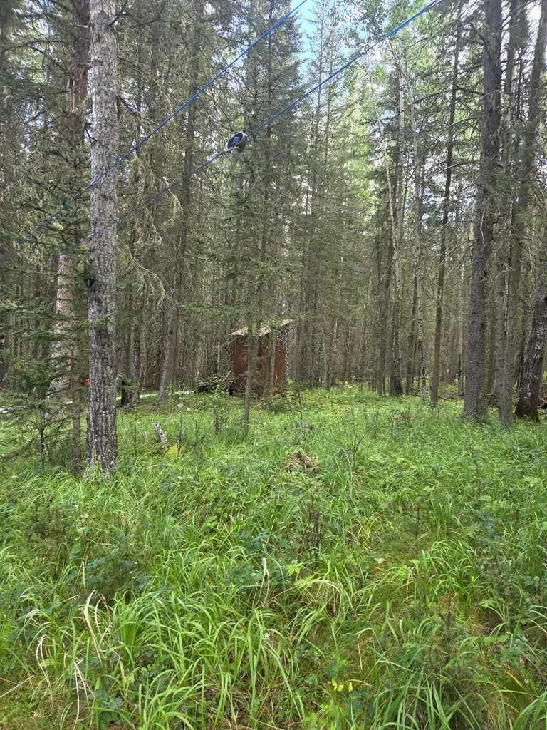29542 Range Road 52 Rural Mountain View County AB T0M 2E0
