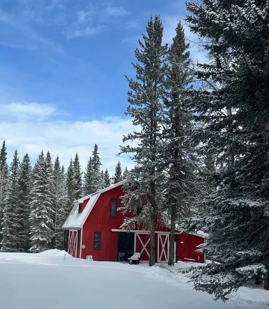29542 Range Road 52 Rural Mountain View County AB T0M 2E0