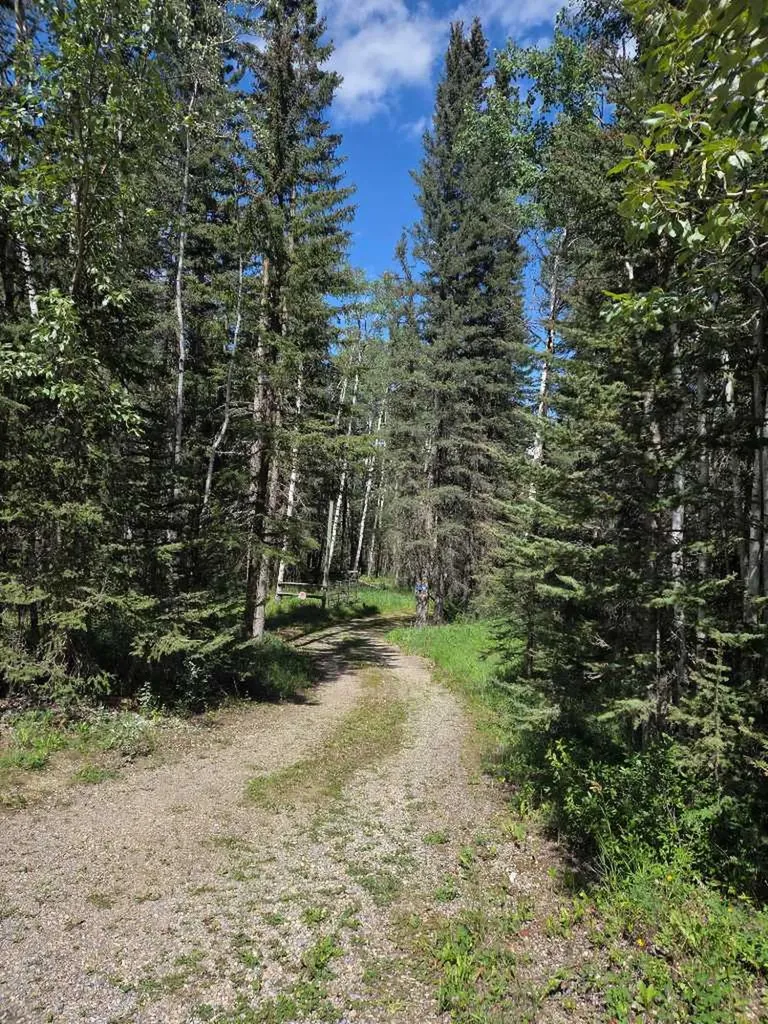 29542 Range Road 52 Rural Mountain View County AB T0M 2E0
