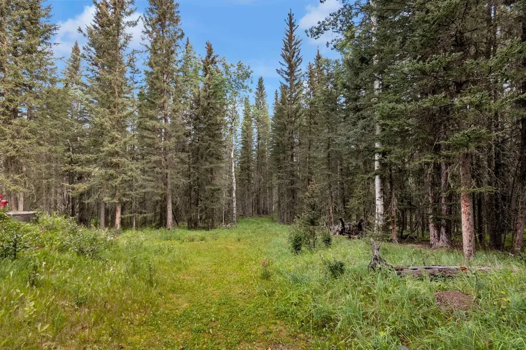 29542 Range Road 52 Rural Mountain View County AB T0M 2E0