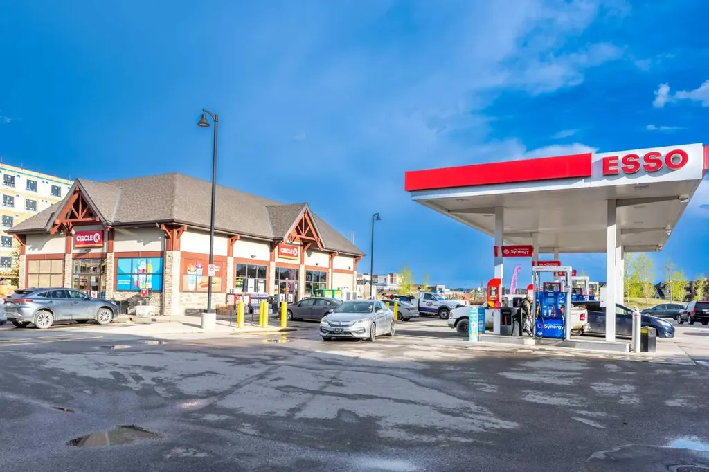 57 Skyview Point Common NE Calgary AB T3N0H1