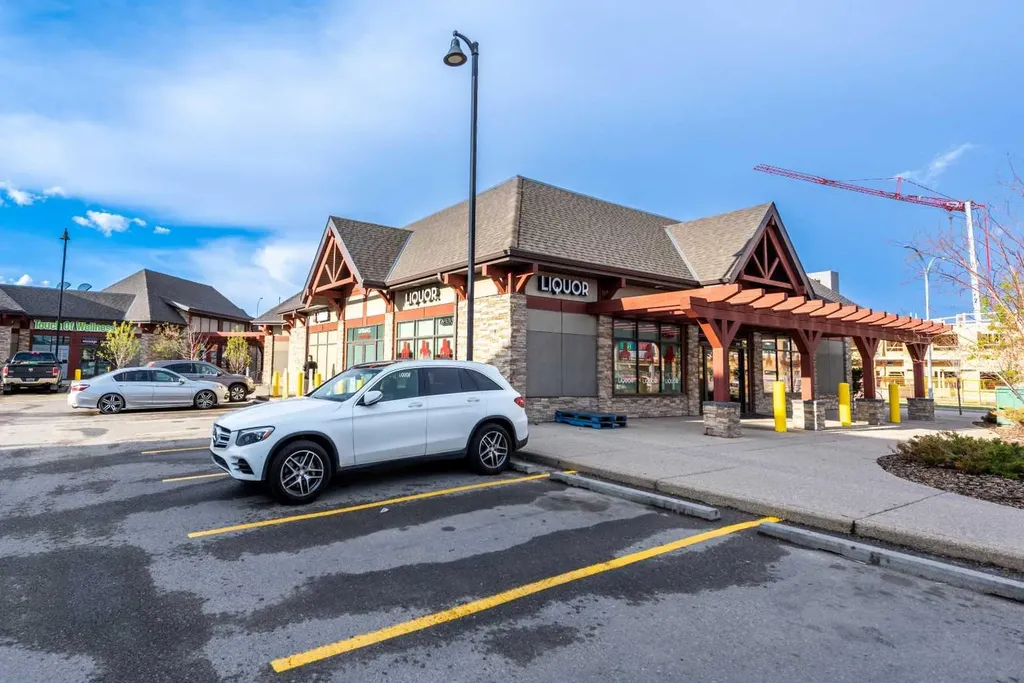 57 Skyview Point Common NE Calgary AB T3N0H1