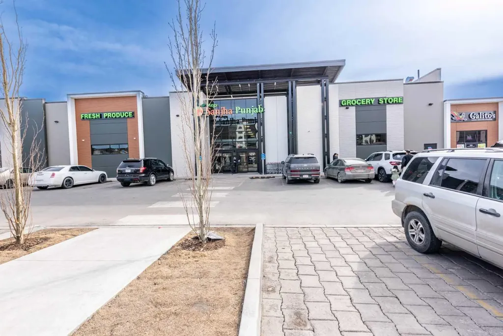 57 Skyview Point Common NE Calgary AB T3N0H1