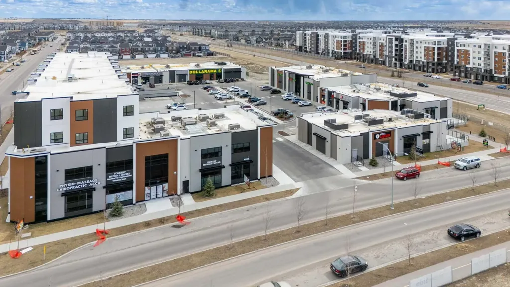 57 Skyview Point Common NE Calgary AB T3N0H1
