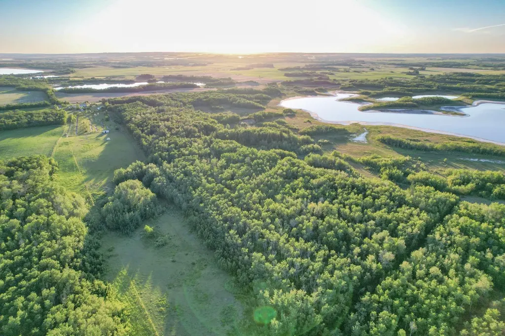 41243 Range Road 205 Rural Camrose County AB T0B 0H0