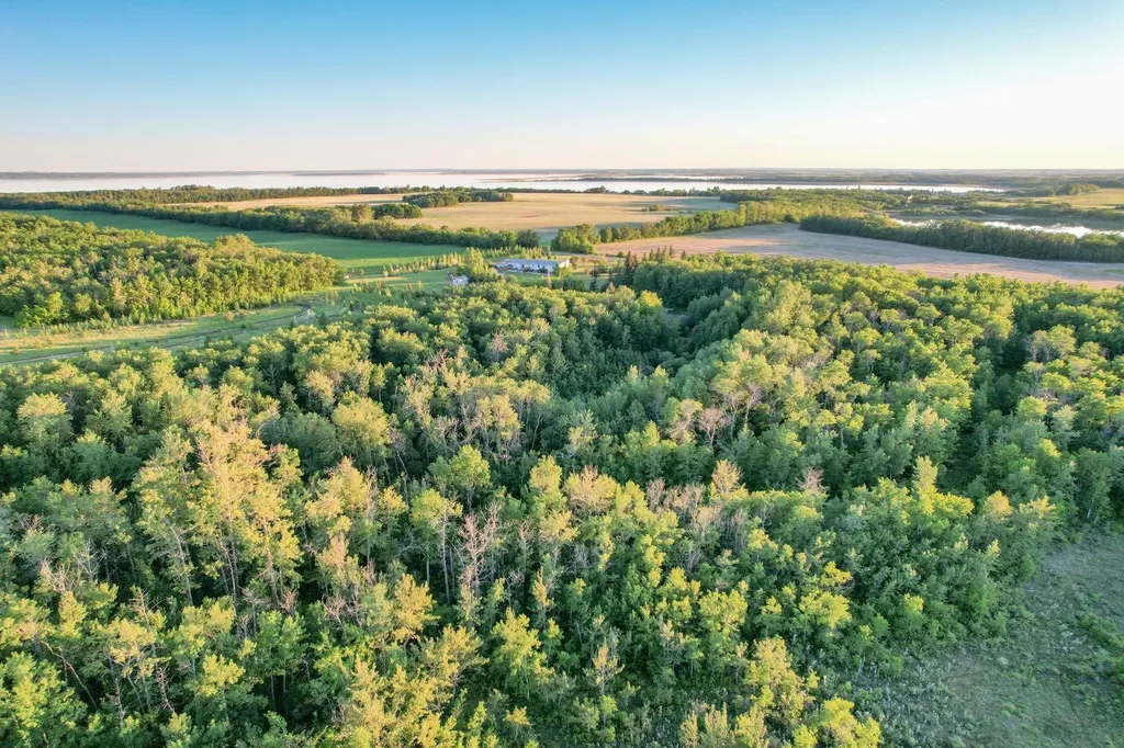 41243 Range Road 205 Rural Camrose County AB T0B 0H0