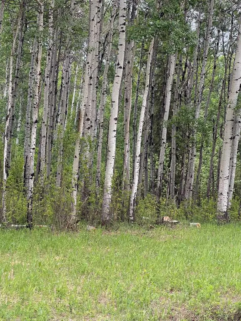 NW-35-69-12-W6 Beaverlodge AB T0H 1J0