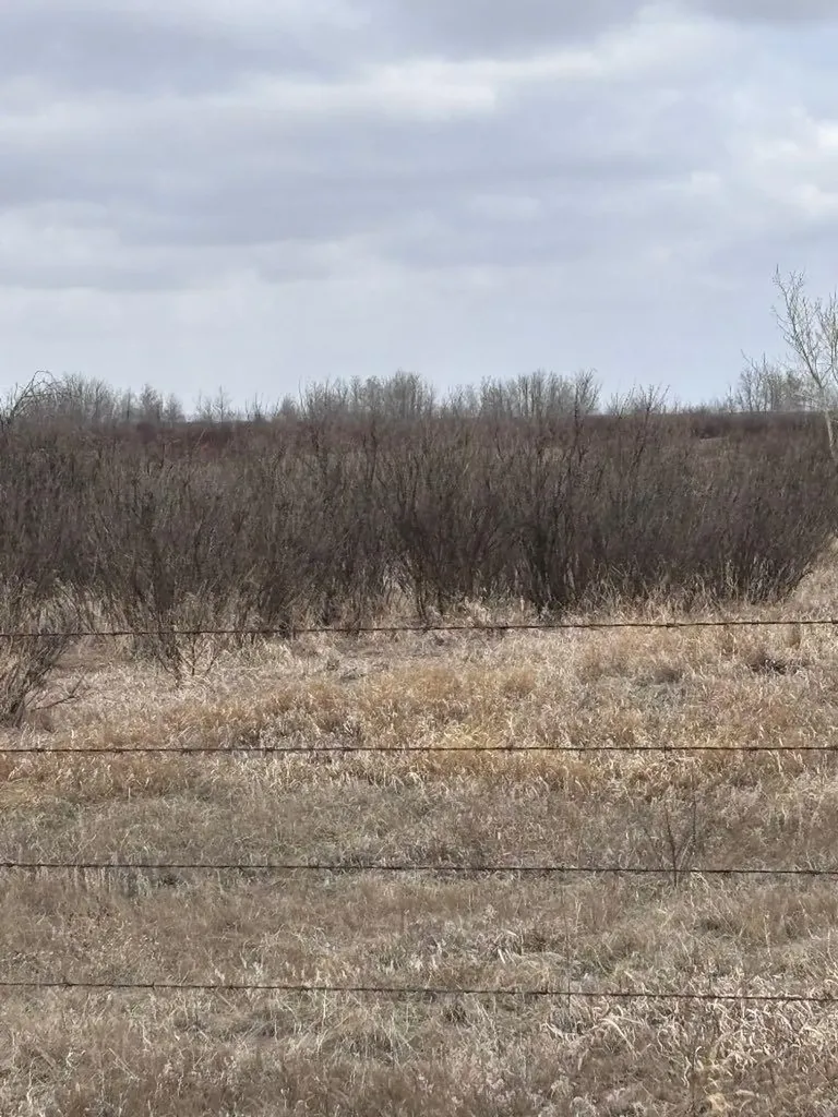 On Twp Road 322 Consort AB T0C1B0