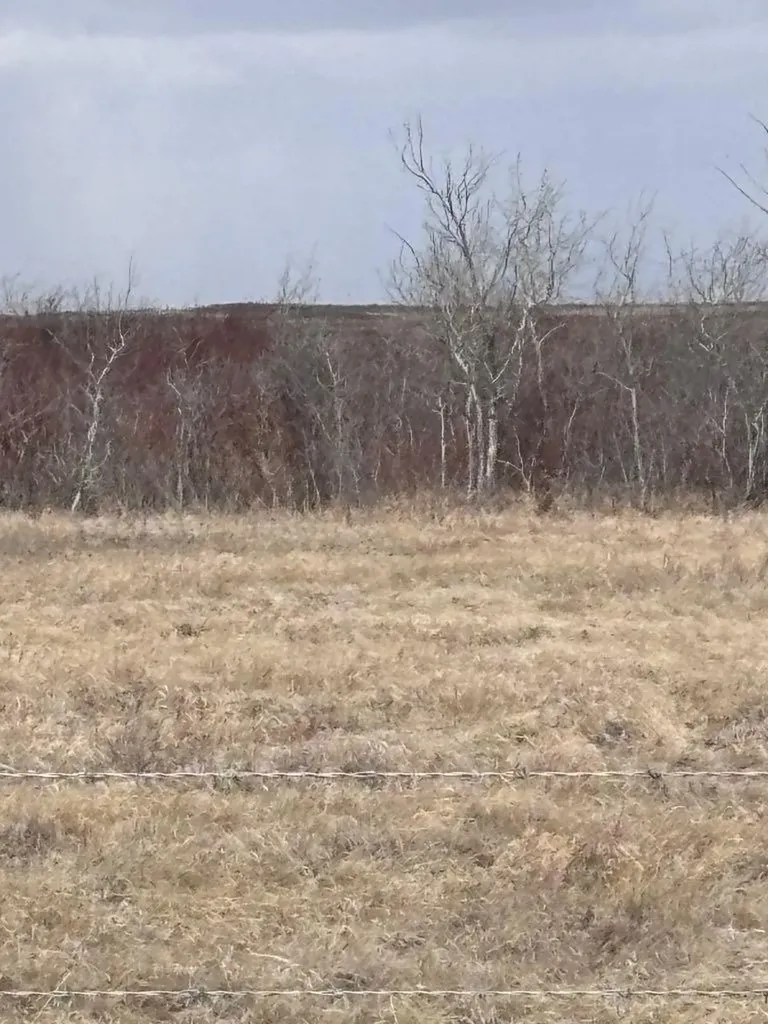 On Twp Road 322 Consort AB T0C1B0
