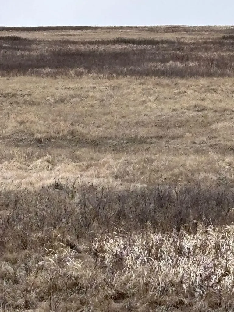 On Twp Road 322 Consort AB T0C1B0