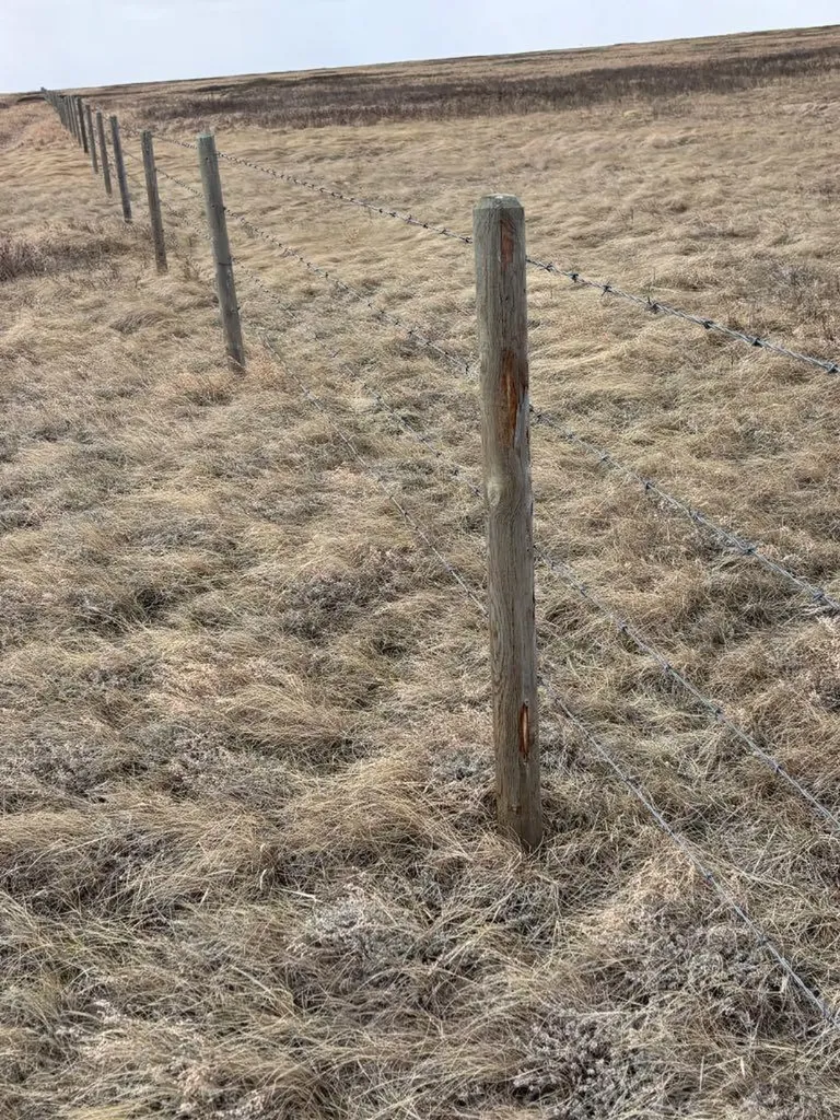 On Twp Road 322 Consort AB T0C1B0