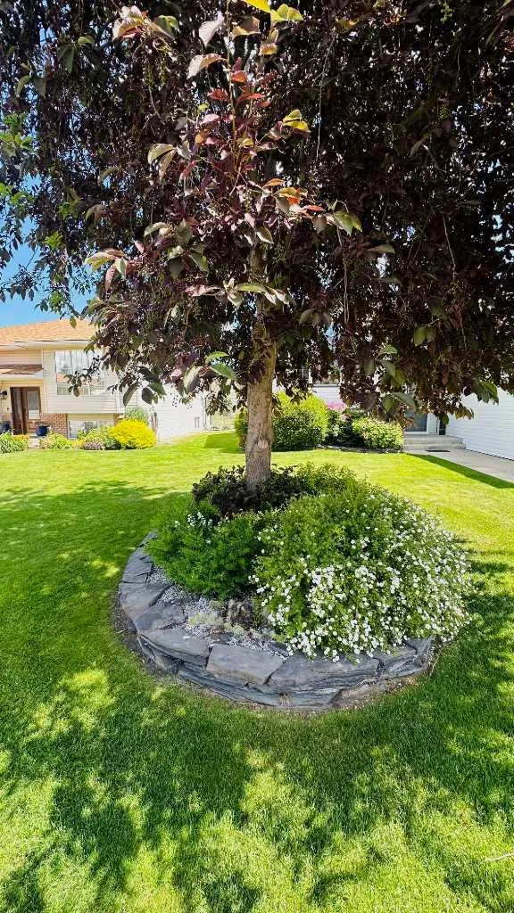 24 Willow Point Drumheller AB T0J0Y5