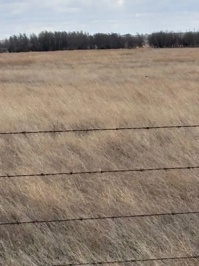 On Highway 886 Consort AB T0C1B0