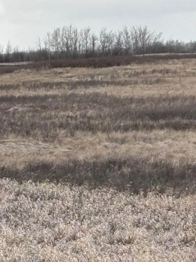 On Highway 886 Consort AB T0C1B0