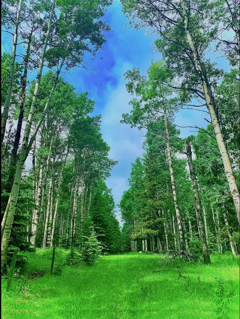 5441 Township Road 333 Rural Mountain View County AB T0M 1X0