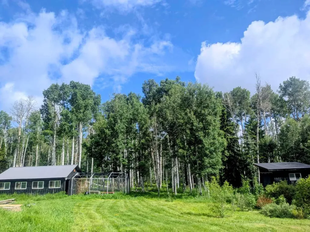 5441 Township Road 333 Rural Mountain View County AB T0M 1X0