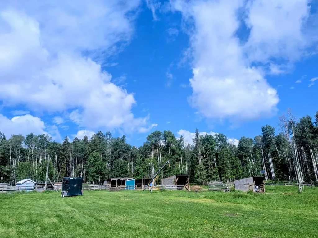 5441 Township Road 333 Rural Mountain View County AB T0M 1X0