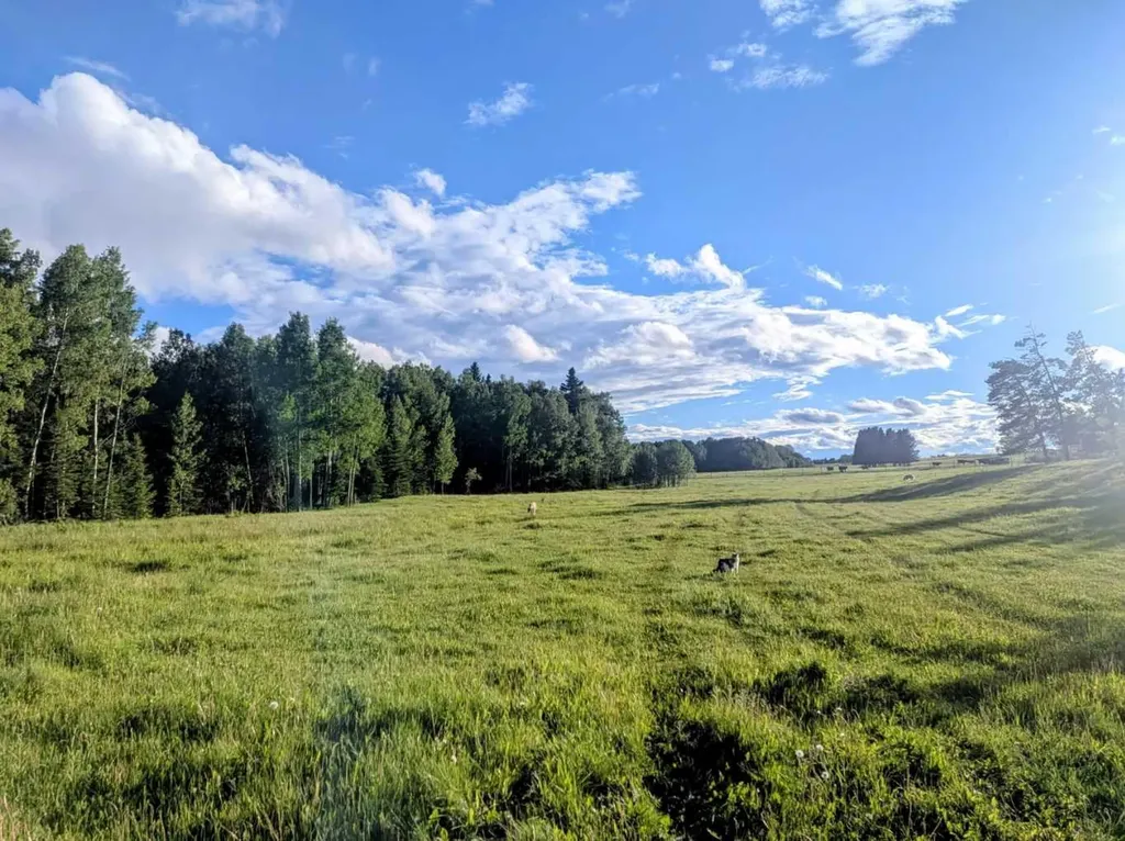 5441 Township Road 333 Rural Mountain View County AB T0M 1X0
