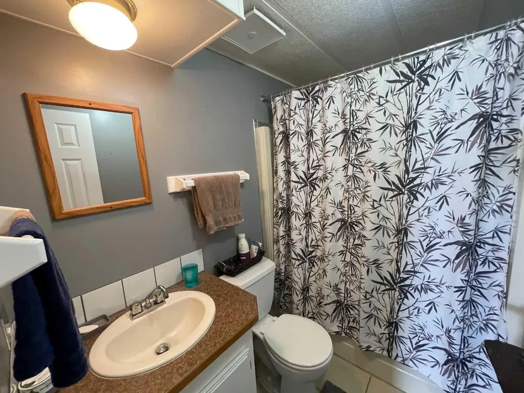 39 Southridge Crescent Didsbury AB T0M 0W0