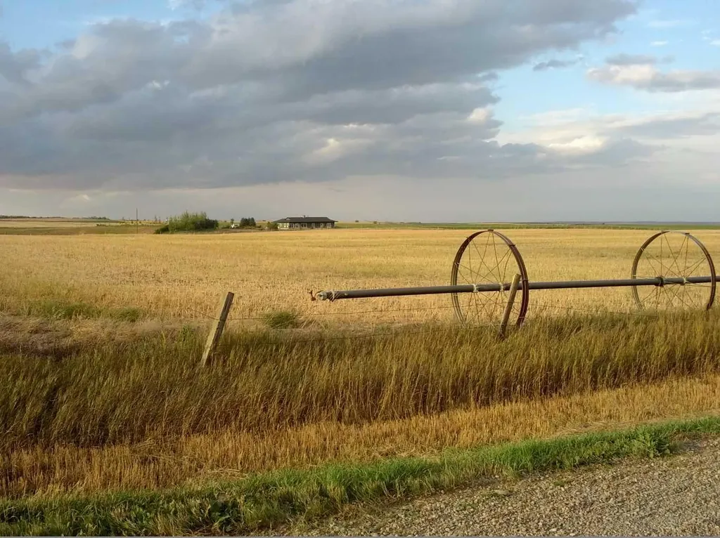 Picture Butte AB, 124025 Range Road 214
