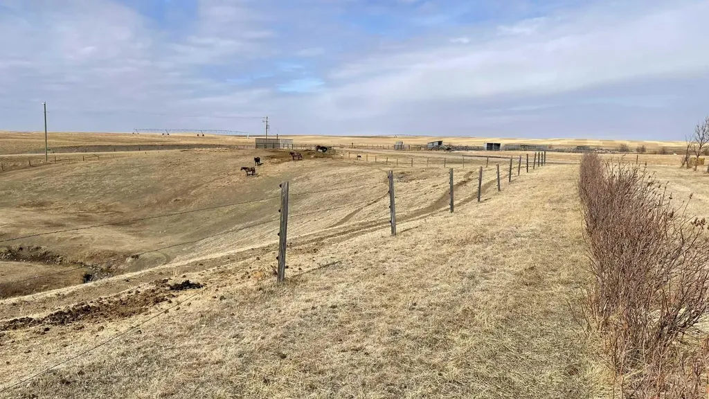 124025 Range Road 214 Picture Butte AB T0K 1V0