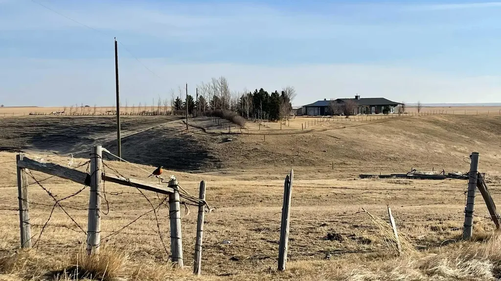 124025 Range Road 214 Picture Butte AB T0K 1V0